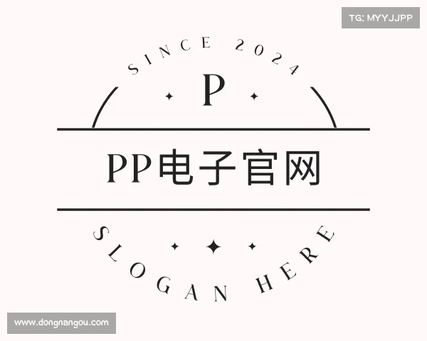 介绍pp电子官网