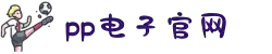 PP电子(中国)集团官网